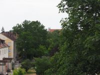 Ausblick vom Schwesternhaus (Kamin?) zur Lutherkirche